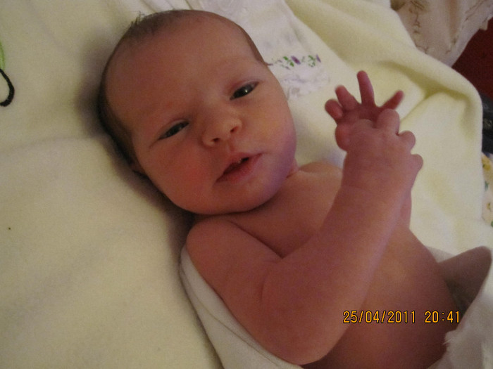 IMG_0220 - stefania mica mica