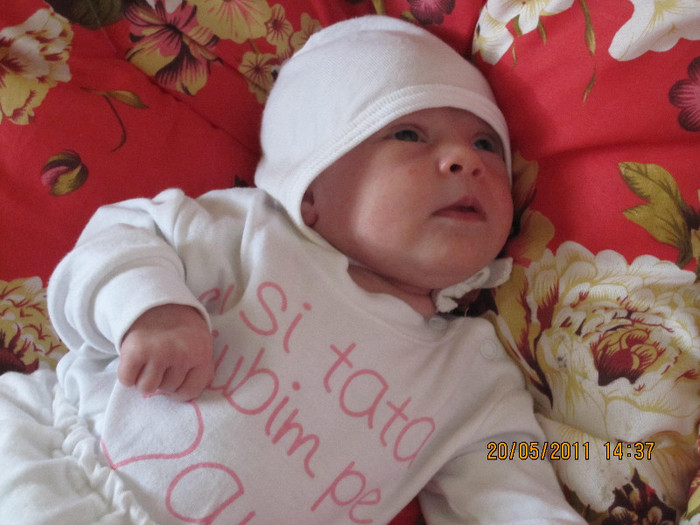 IMG_0341 - stefania mica mica