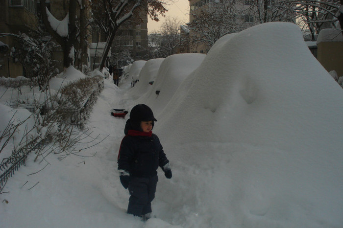 DSC04156 - BUCURESTI FEBRUARIE 2012