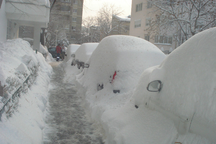 DSC04203 - BUCURESTI FEBRUARIE 2012