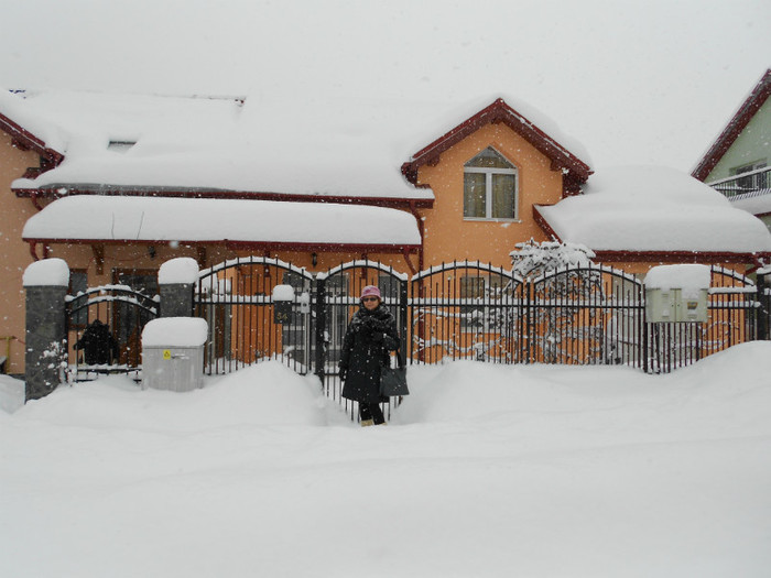 càsuta noastrà inghetatà