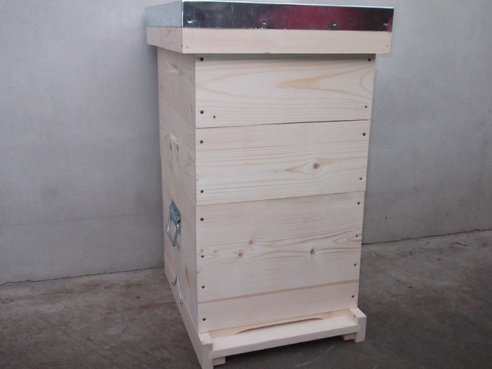 Stup d-nul Bociu Michael