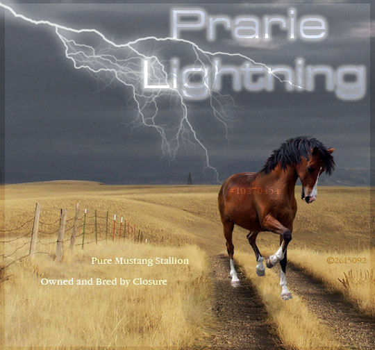 Prarie_Lightning_by_KittehKins - cai de basm