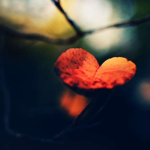 69a0c4fa1c29b5344a1f4252c82d9cb7