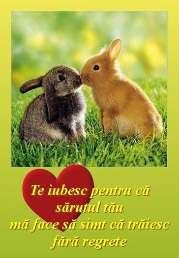 iepurasi_sarut_te_iubesc_sarutul_tau_ma_face_simt_traiesc