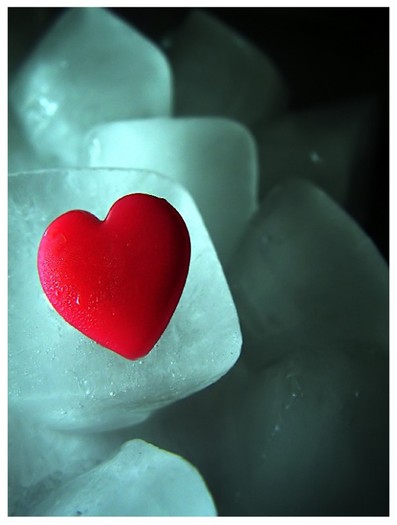 Its_Cold_2_by_Sunshine_in_a_bag