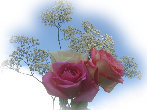 pentru-prietenele-mele-cu-respect-si-prietenie_60ff9036fe9cb8