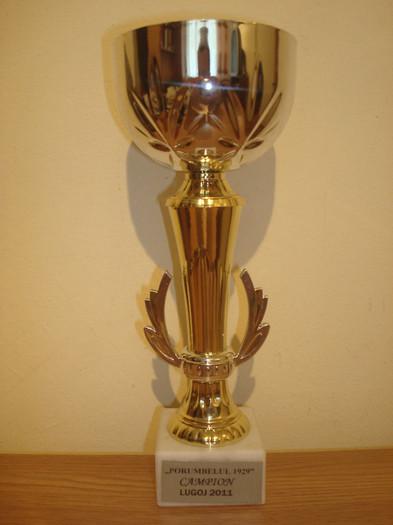 Cupa expo Lugoj noiembrie 2011 - 02- Rezultatele munci mele