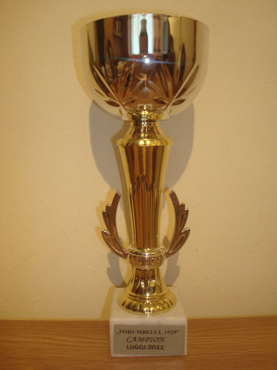 Cupa expo Lugoj noiembrie 2011