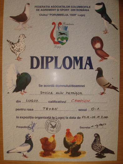 Diploma expo Lugoj noiembrie 2011