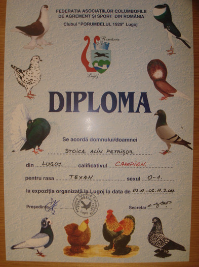 Diploma expo Lugoj noiembrie 2011