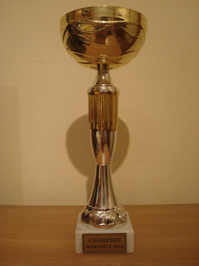 Cupa Campion 2012 Marghita - 02- Rezultatele munci mele