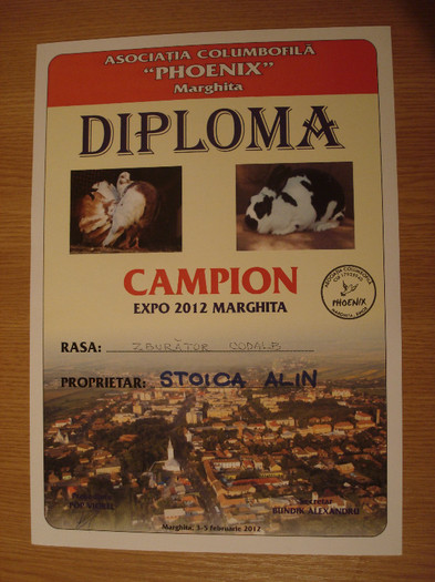 Diploma 2012 Marghita - 02- Rezultatele munci mele