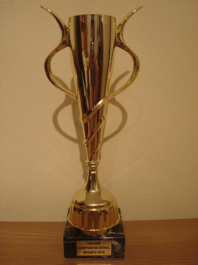 Cupa Campion National 2012 Brasov - 02- Rezultatele munci mele