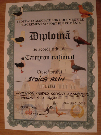 Diploma Nationala 2012 Brasov