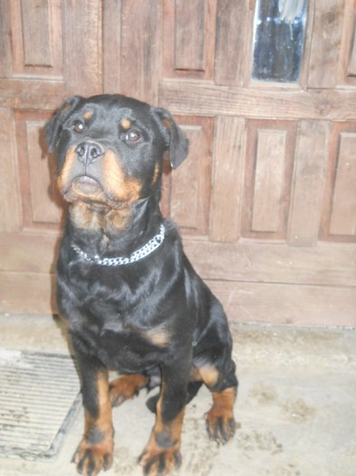 11-03-2012-25 de saptamani