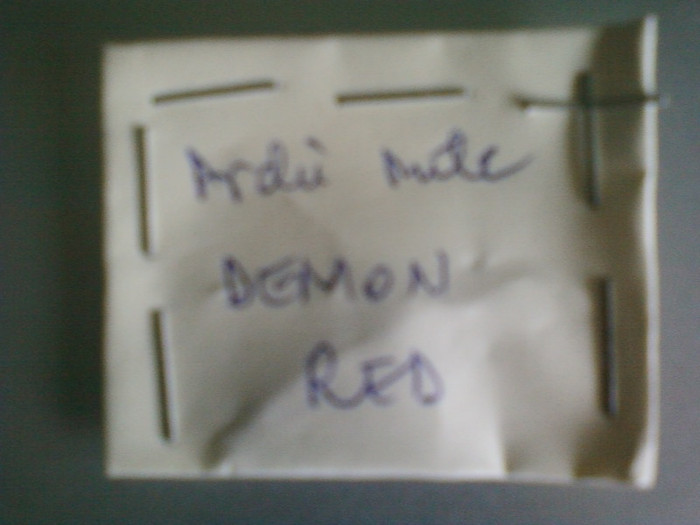 ardei iute demon red; 14 martie 2012
