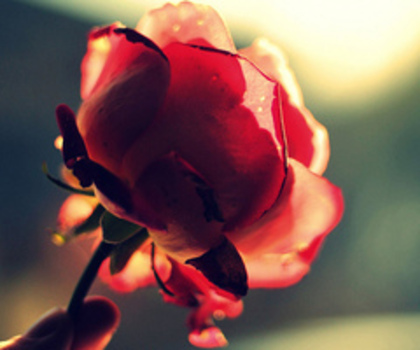 ◕ Si in ziua de astazi Isi .. continua Romantic.. Povestea:X