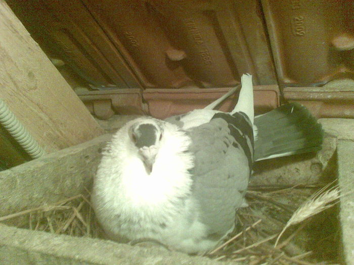 14032012(003) - Poze noi