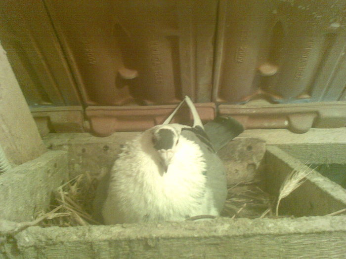 14032012(008) - Poze noi