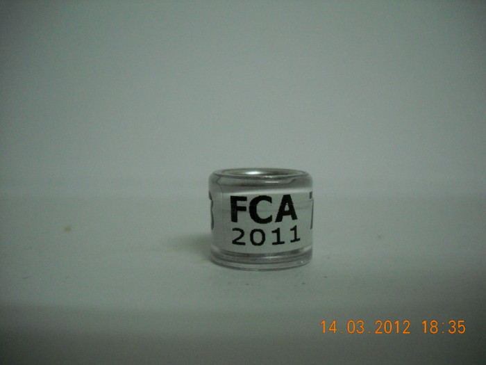 2011 - ARGENTINA   FCA