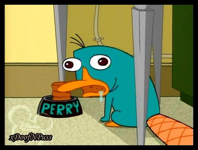 Perry_as_a_mindless_animal - XDNP - Phineas and Ferb Moments