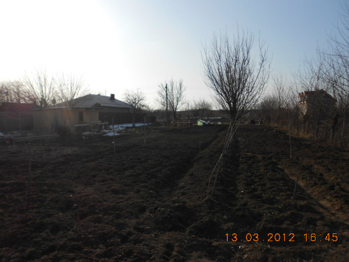 gradina mea cea mare