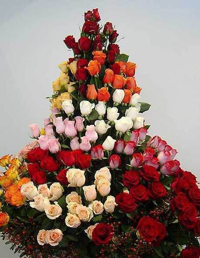 62081a66e2d15b466371549ad75fca95-1