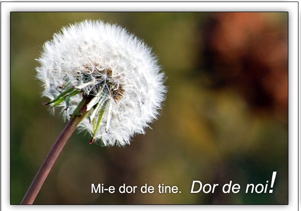 mi-e-dor-de-tineDor-de-noi