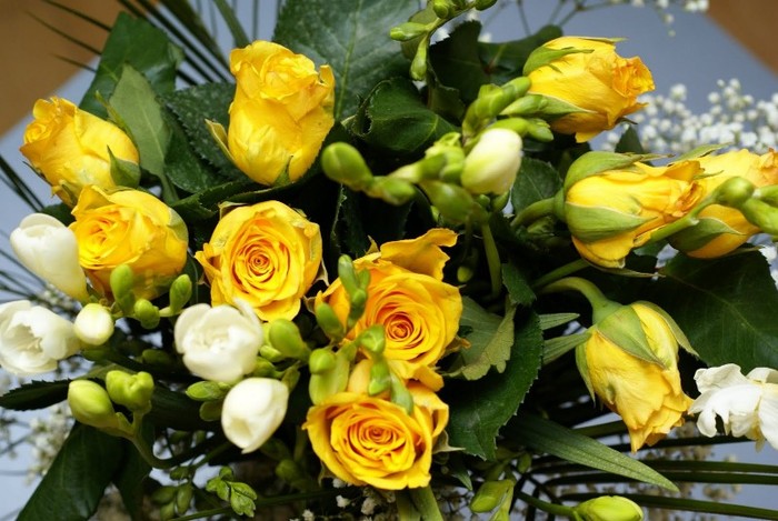 yellow-roses-bouquet-00842