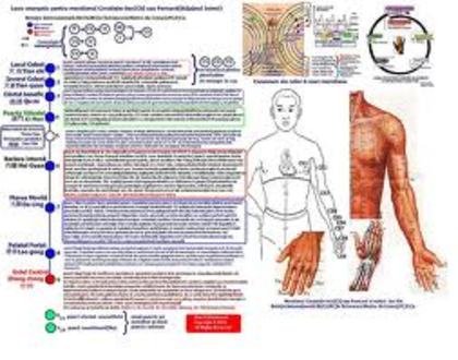 images - Acupunctura