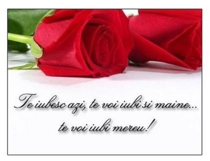 te-iubesc11-azi-maine