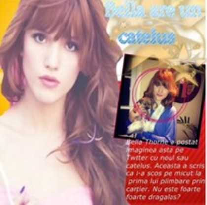 64087070_VGWHNIE - Catalog Vedete