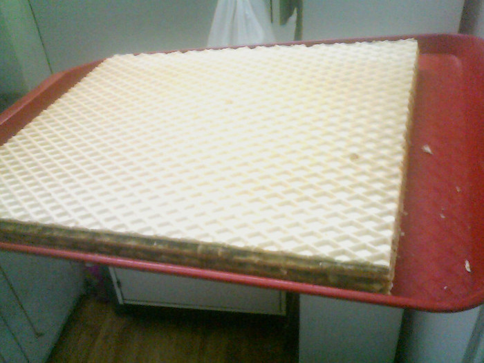 NAPOLITANA CU CARAMEL SI MULTA NUCA