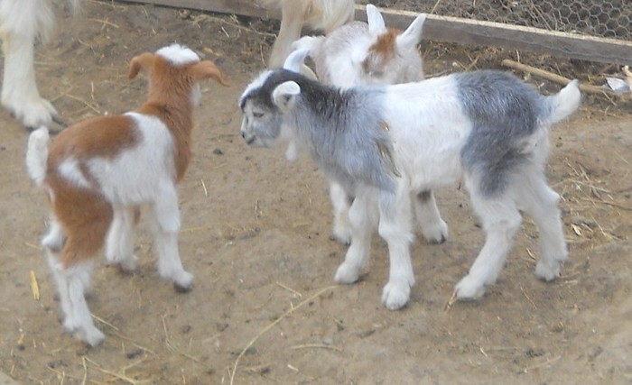 jfjgdkjf 184; Viitorul e sigur.
