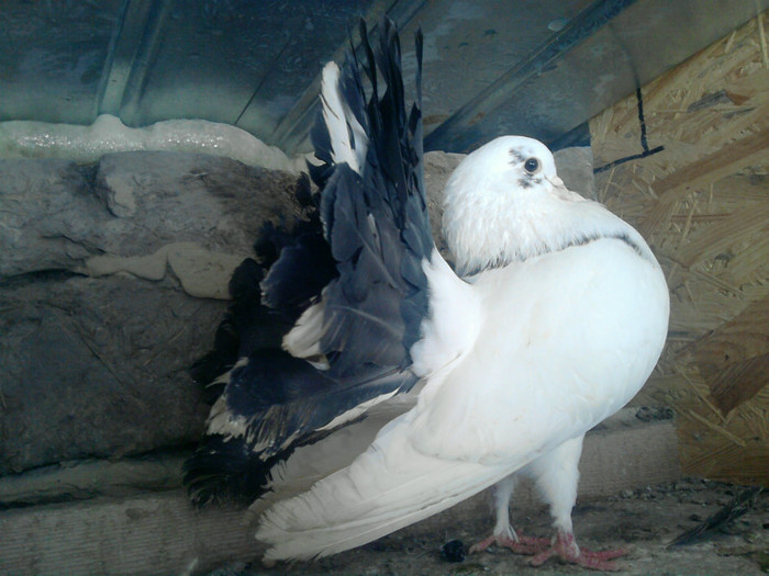 P280111_15.50