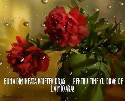 3cc4c607795b1c64b9084a4c28f4b227