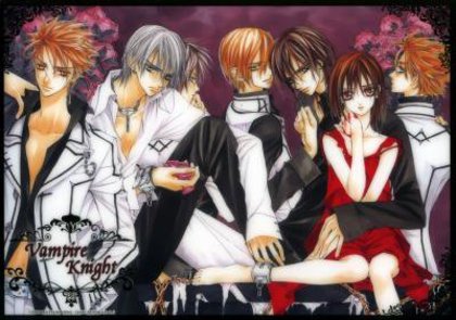 Vampire knight.