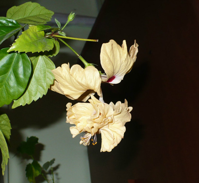 P1370536