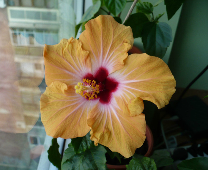 P1370543