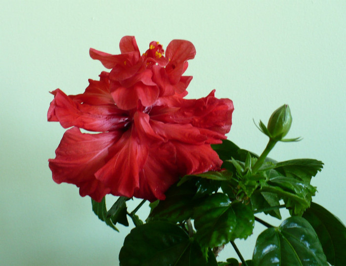 P1370564