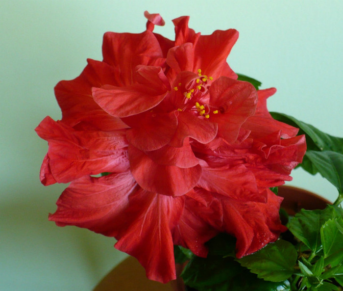 P1370573