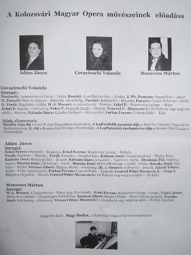 mică reprezentaţie organizată şi finanţată de partidul...