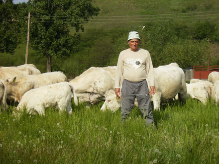 Emil Popa; Charolais Romania
