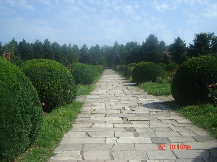 13 - gradina botanica din Iasi