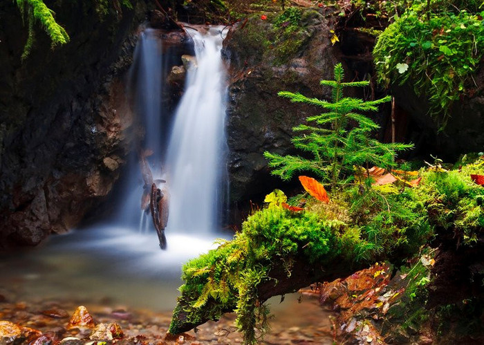 381859_2560644296691_1271573731_2982831_1537165015_n