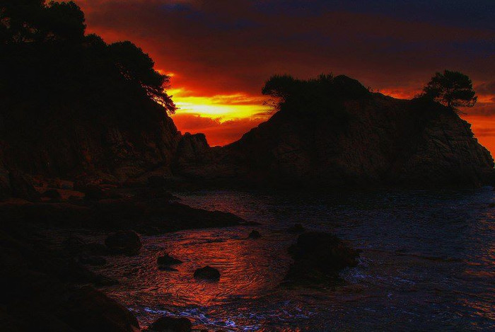 384827_2560539654075_1271573731_2982623_1564821838_n