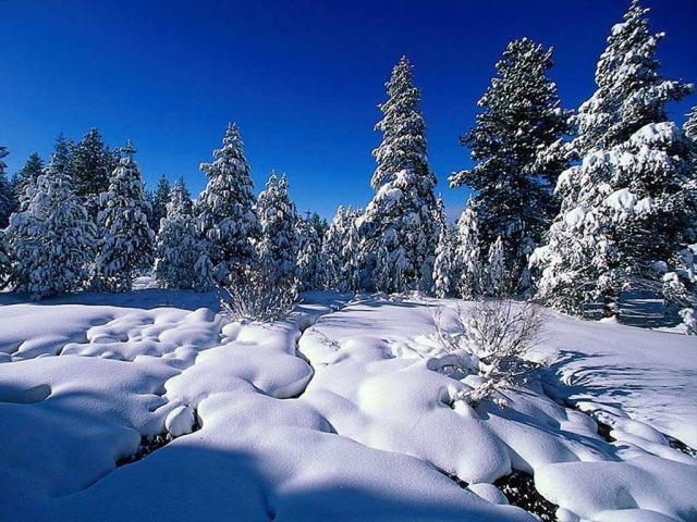Poze Iarna cu Zapada Imagini Desktop de Iarna Wallpaper - Peisaje
