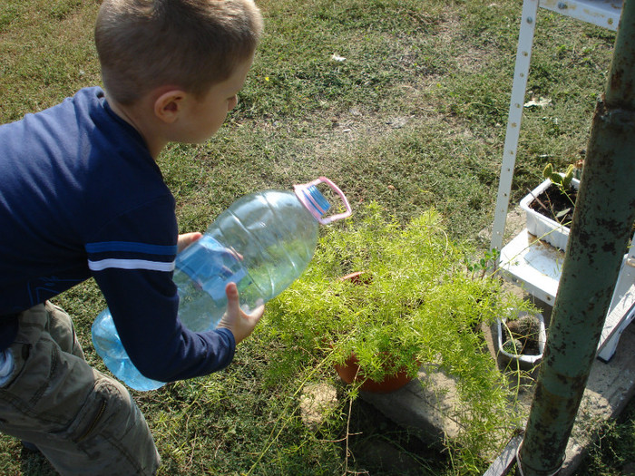 DSC08500; ajutorul meu principal in gradina...nepotelul meu Robert
