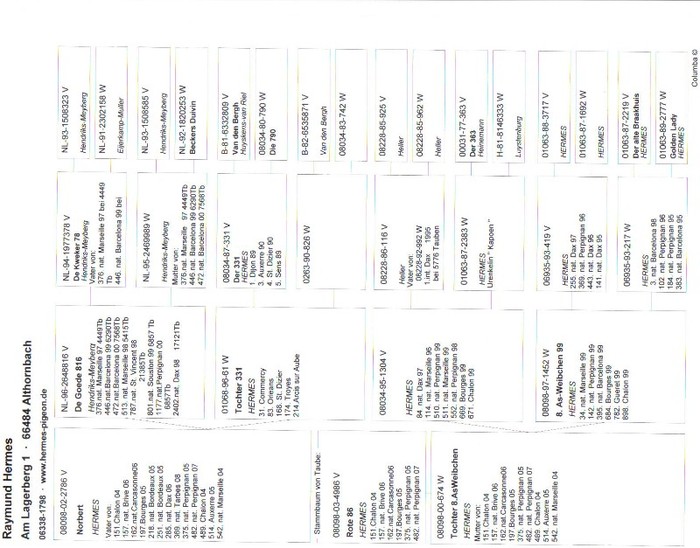 DV 08098 03 4986 M. - Achizitii respectiv - PEDIGREELE PORUMBEILOR ACHIZITIONATI in 2008 - 2012